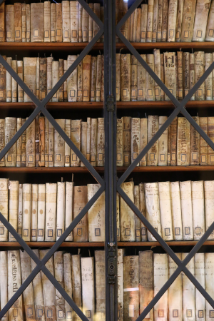 Prestatgeries de la sala de consulta principal de la Biblioteca de Lletres de la Universitat de Barcelona dissenyades per Elies Rogent al segle XIX (foto: Agustí Ensesa)