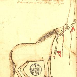 6. Manera d'administrar beuratges al cavall. Manuel Díez, 'Llibre de la menescalia'. Sevilla. Biblioteca Colombina, ms. 5-4-46, f . 7v (mitjan s. XV).