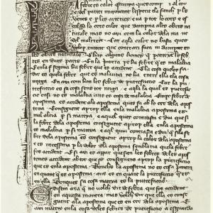 3. Avicenna (Ibn Sīnā), 'Quart llibre del Cànon de la medicina', traducció anònima (París, BnF, ms. Esp. 563, f. 1r).
