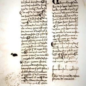 13. 'Libro de los caballos' (‘Book of Horses’) in Castilian, copy owned by Jaume de Castres, lord of Camarles. Perpignan, Médiathèque de Perpignan, MS 28 (14-15th C).